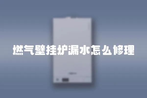 燃氣壁掛爐漏水怎么修理