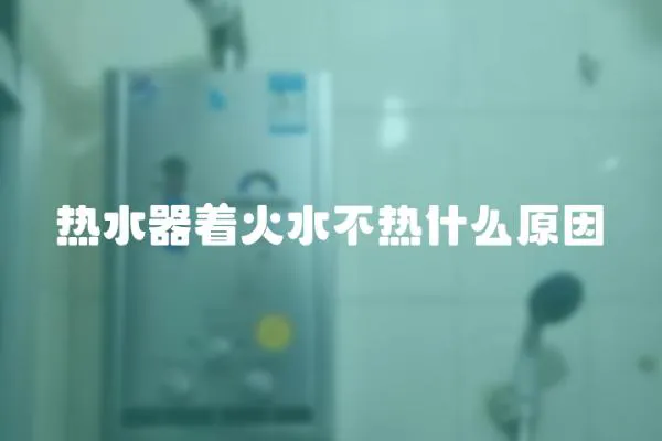 熱水器著火水不熱什么原因