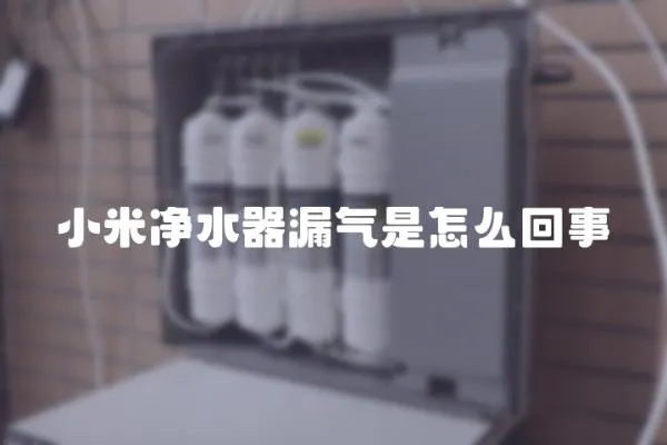小米凈水器漏氣是怎么回事