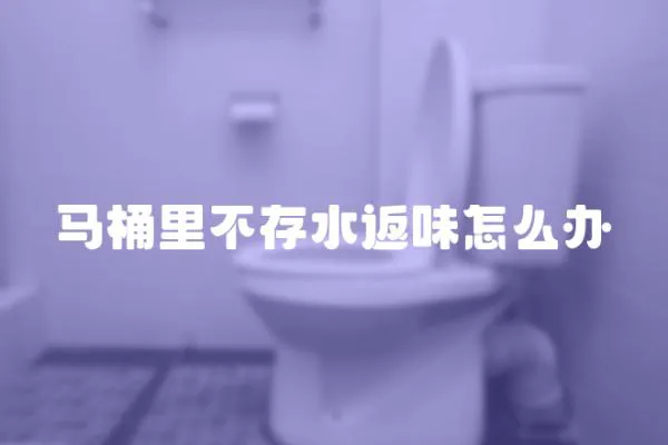 馬桶里不存水返味怎么辦