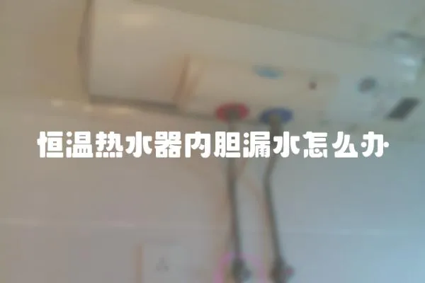 恒溫熱水器內膽漏水怎么辦