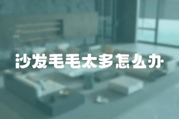 沙發毛毛太多怎么辦