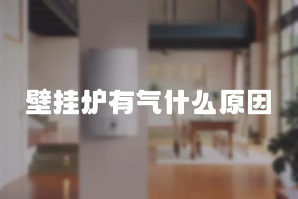 壁掛爐有氣什么原因