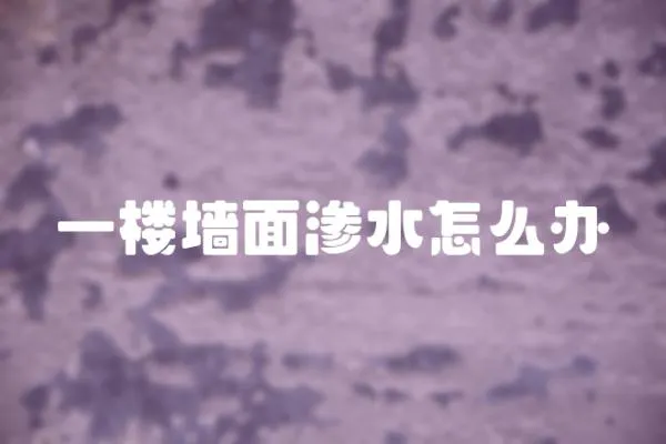 一樓墻面滲水怎么辦