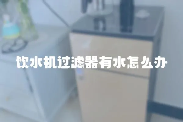 飲水機過濾器有水怎么辦