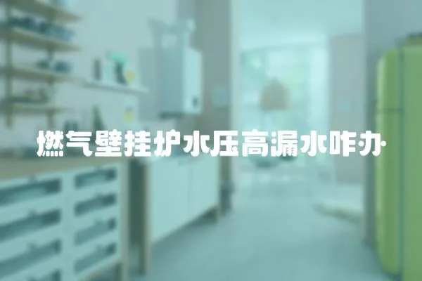 燃?xì)獗趻鞝t水壓高漏水咋辦