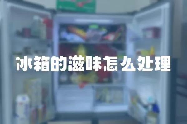 冰箱的滋味怎么處理