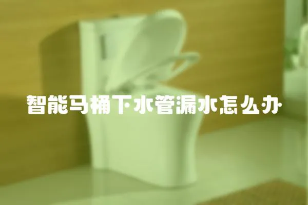 智能馬桶下水管漏水怎么辦