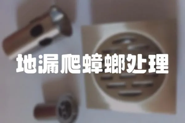 地漏爬蟑螂處理