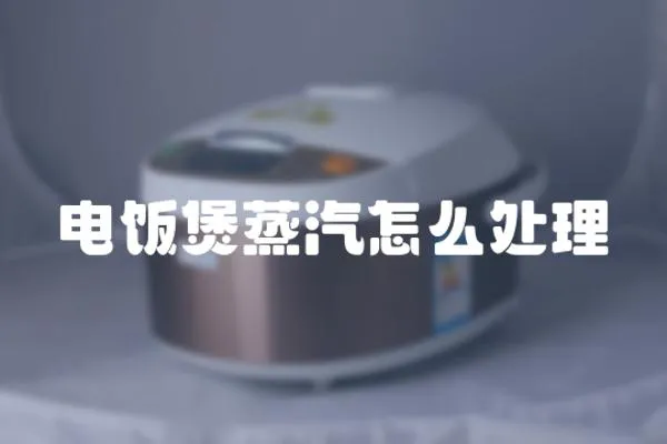 電飯煲蒸汽怎么處理