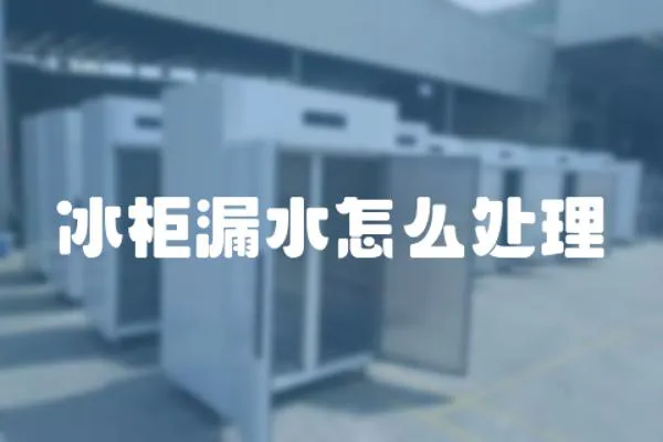 冰柜漏水怎么處理