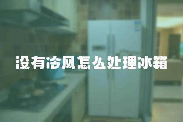 沒有冷風怎么處理冰箱
