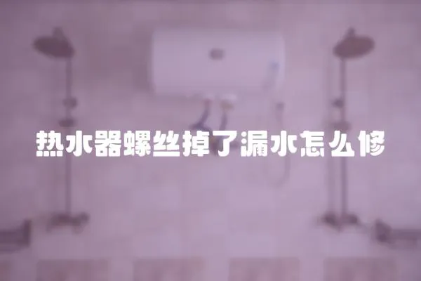 热水器螺丝掉了漏水怎么修