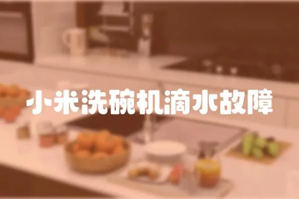 小米洗碗機滴水故障