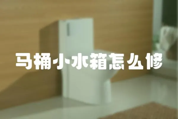 馬桶小水箱怎么修