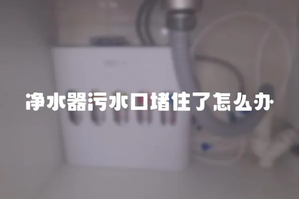 凈水器污水口堵住了怎么辦