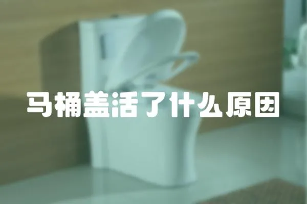 馬桶蓋活了什么原因