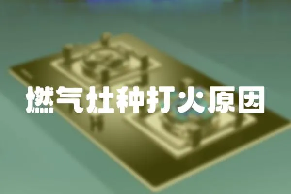 燃?xì)庠罘N打火原因