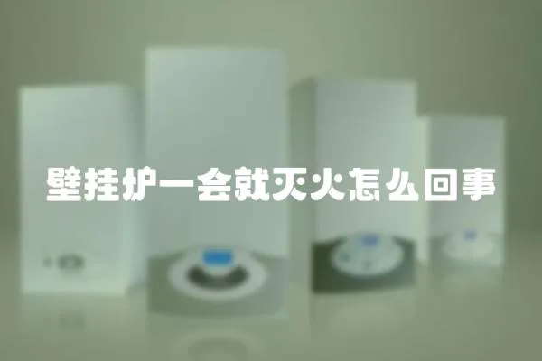 壁掛爐一會就滅火怎么回事