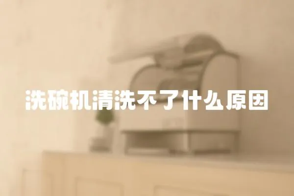 洗碗機清洗不了什么原因