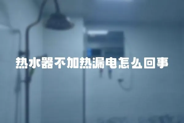 熱水器不加熱漏電怎么回事