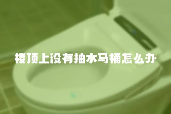 樓頂上沒有抽水馬桶怎么辦