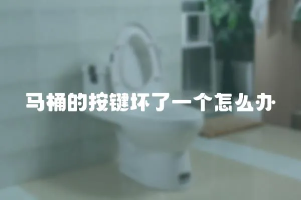馬桶的按鍵壞了一個(gè)怎么辦