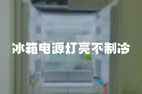 冰箱電源燈亮不制冷
