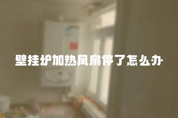 壁掛爐加熱風(fēng)扇停了怎么辦