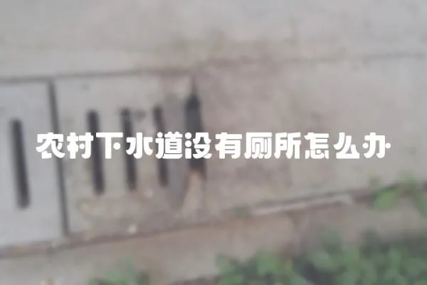 農村下水道沒有廁所怎么辦
