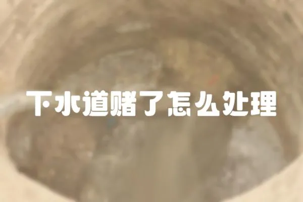 下水道賭了怎么處理