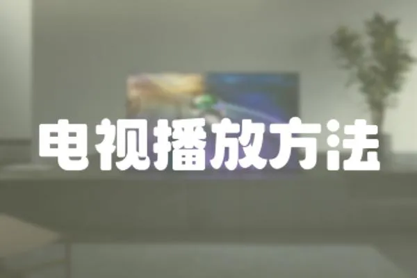 電視播放方法