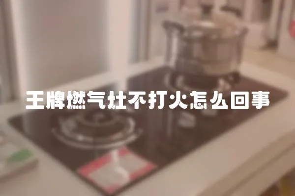 王牌燃?xì)庠畈淮蚧鹪趺椿厥?></a></div>
                    <div   id=