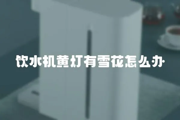 飲水機黃燈有雪花怎么辦