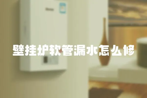 壁掛爐軟管漏水怎么修