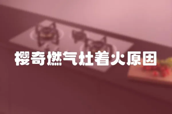 櫻奇燃氣灶著火原因