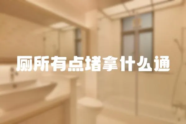 廁所有點堵拿什么通