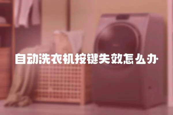 自動洗衣機按鍵失效怎么辦