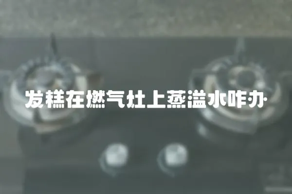 發(fā)糕在燃?xì)庠钌险粢缢k