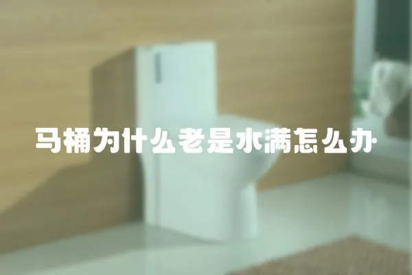 馬桶為什么老是水滿怎么辦