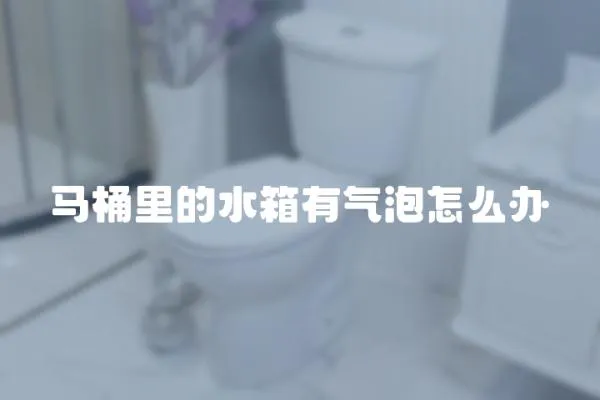 馬桶里的水箱有氣泡怎么辦