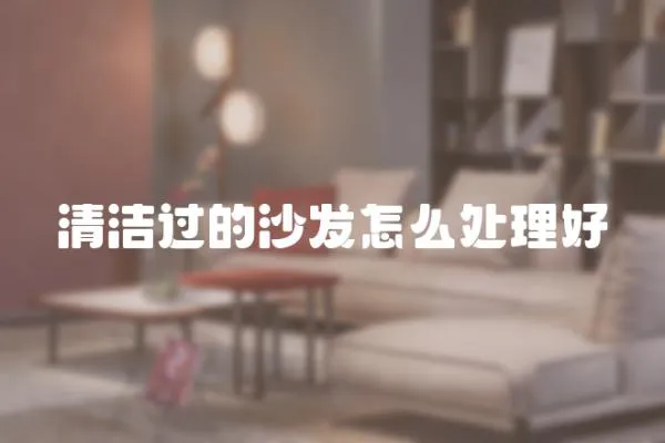 清潔過的沙發(fā)怎么處理好