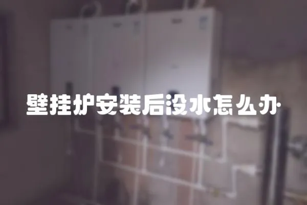 壁掛爐安裝后沒水怎么辦
