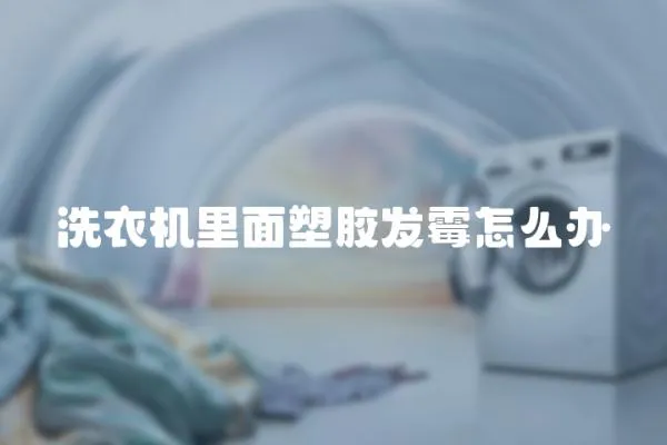 洗衣機里面塑膠發霉怎么辦