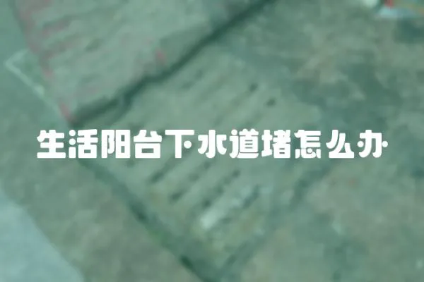 生活陽臺(tái)下水道堵怎么辦