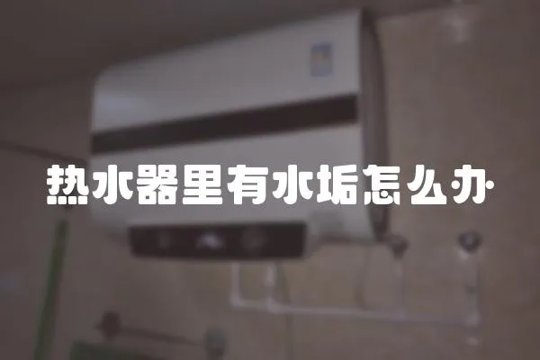 熱水器里有水垢怎么辦