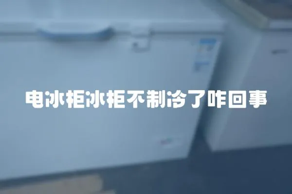 電冰柜冰柜不制冷了咋回事