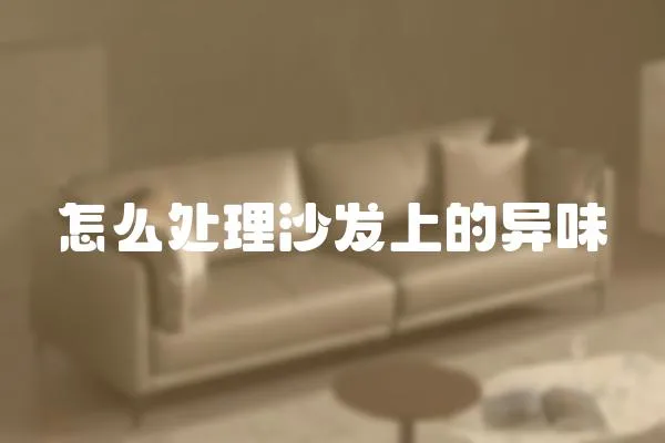 怎么處理沙發(fā)上的異味