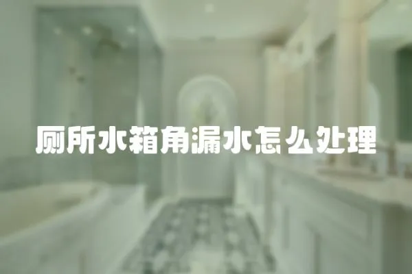 廁所水箱角漏水怎么處理