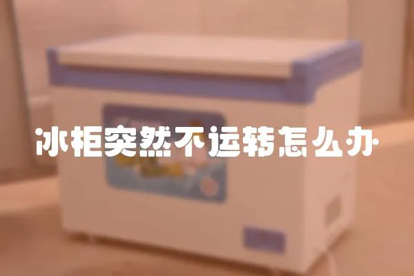 冰柜突然不運轉怎么辦